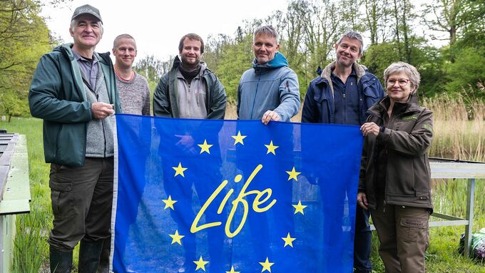 Johan Auwerx, Jeroen Speybroeck, Loïc van Doorn (all from the Research Institute for Nature and Forests (INBO)), Christian Göcking (NABU-Naturschutzstation Münsterland for the Life IP Atlantic region DE), Tom Andries and Lily Gora (Agency for Nature