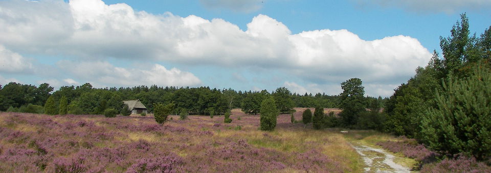Heidelandschaft, Willow/CC BY-SA 3.0