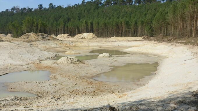 Neu angelegte Kleingewässer nach Maßnahmenumsetzung in der freigestellten Sandgrube