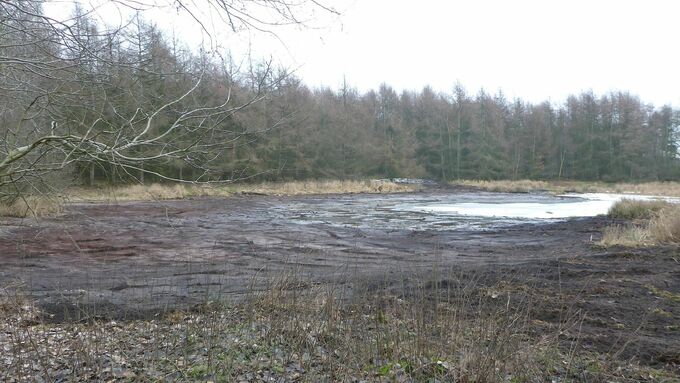 Das Waldschlatt nach Entfernung des Schlamms und des Röhrichtaufwuchses