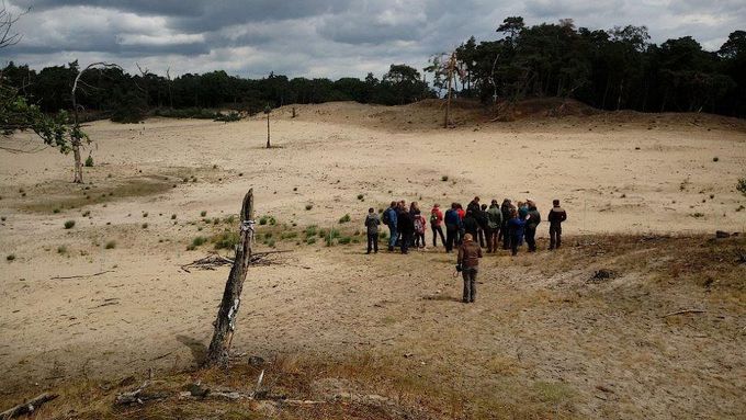 Besuchergruppe in einer Heidelandschaft