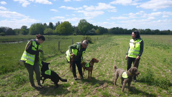 Vier Spürhunde in der Hundeschule von Martina Franke-Köhler in Bochum