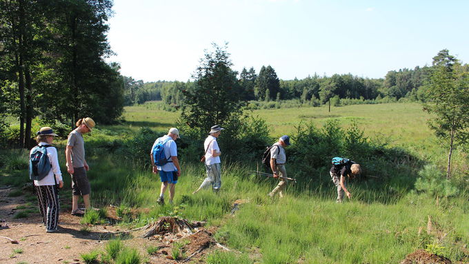 Exkursion Ohligser Heide