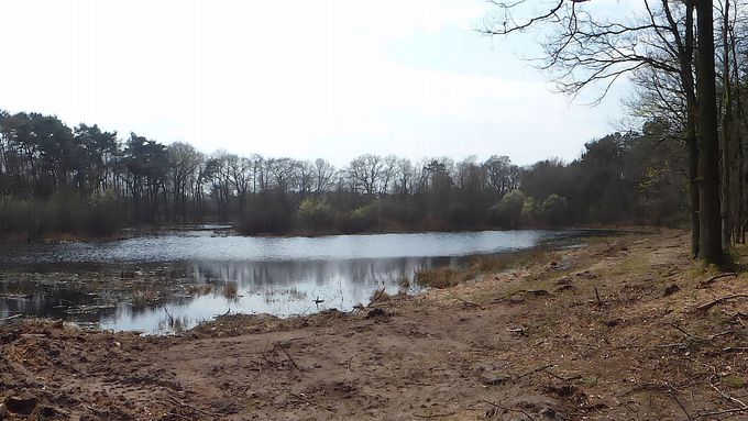 Blick auf den Teich