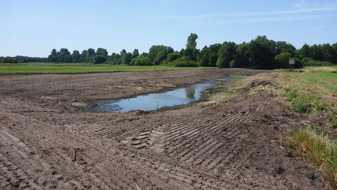 Mitten auf einer Freifläche hat sich ein kleiner Teich gebildet. Um den Teich herum sind Fahrspuren der Baufahrzeuge zu erkennen. Im Hintergrund befindet sich eine Baumreihe.