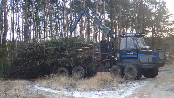 Kranwagen mit gefällten Bäumen