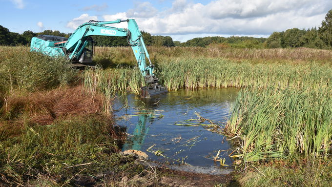 Small water-body before restoration  The excavator gets down to work: In order to be able provide spawning habitat to amphibians like the common spadefoot again, this small water-body is partially desludged.