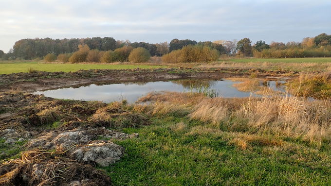 One of many water-bodies in the area of the Hunte floodplain which was ecologically upgraded by removal of woods and desludging.