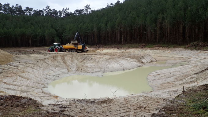 Baggerarbeiten bei der Anlage eines Laichgewässers für die Kreuzkröte (Bufo calamita) mit modellierten Flachwasserbereichen.