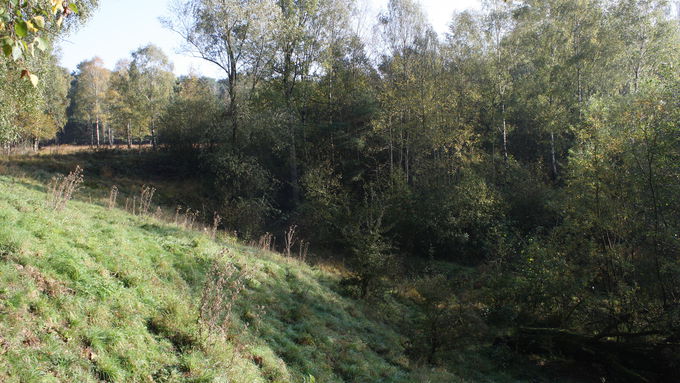 This sub-area was covered with bushes of birches, poplars and alder trees before the start of the action.