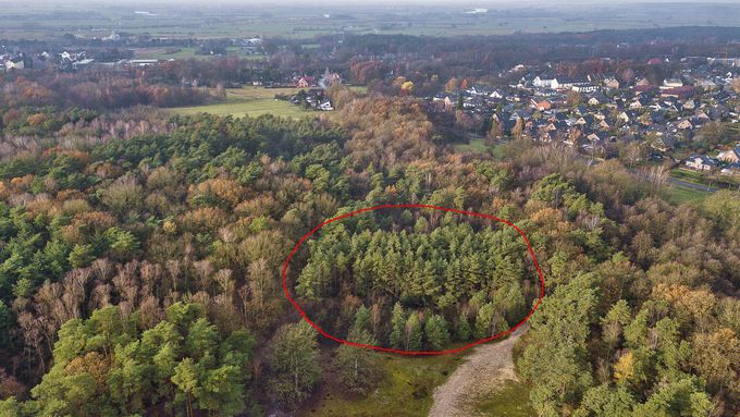 The area in the Verden dunes before the works started