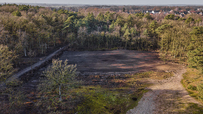 The area in the Verden dunes after completion of works