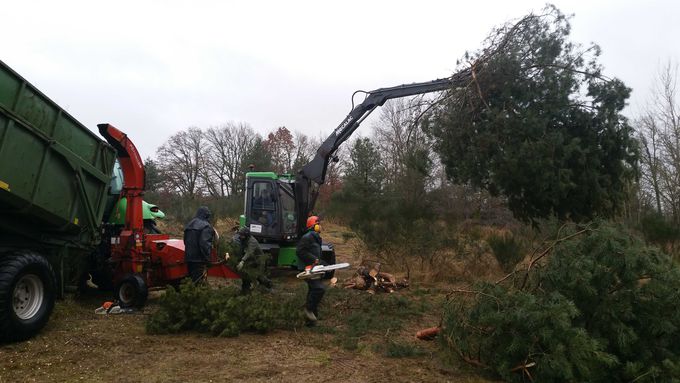 Wood works in winter 2019/2020.