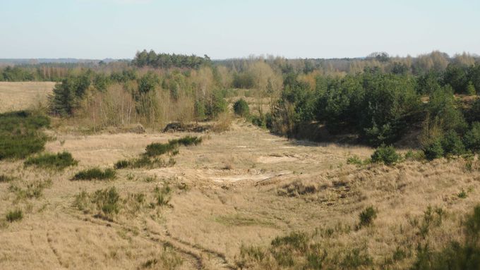 Blick in die Grube mit angelegtem Kreuzkröten-Gewässer.