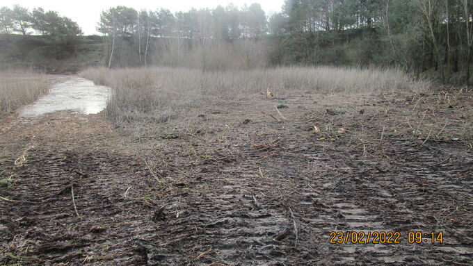 Waterbody after wood removal