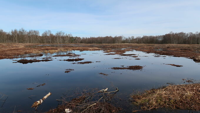 Überstaute Moorfläche im März 2023 (Blick von Süd nach Nord)