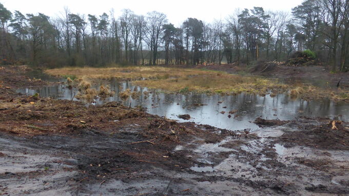 Freigestelltes Heidemoor mit nährstoffarmen Sandstandorten im Vordergrund (Foto: Niels Ribbrock, Biologische Station Kreis Recklinghausen)