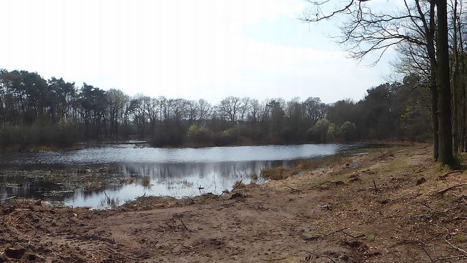 View over the Hanfteich