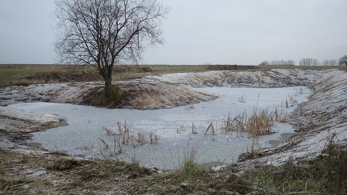 Renaturation of complexes of waterbodies.