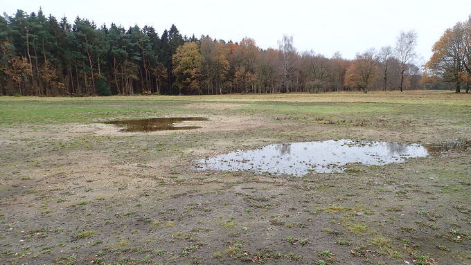 Area south of ‘Schwarzes Meer’ in November 2020 after the topsoil had been removed