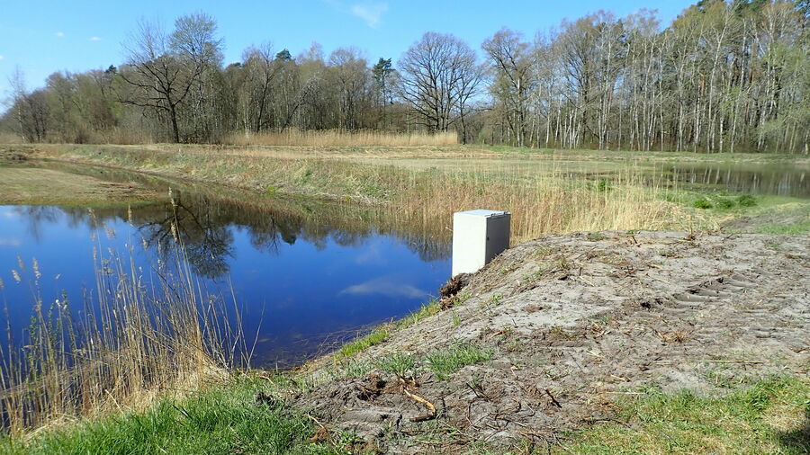 Atlantic Sandscapes Conservation of spadefoot toad spawning waters