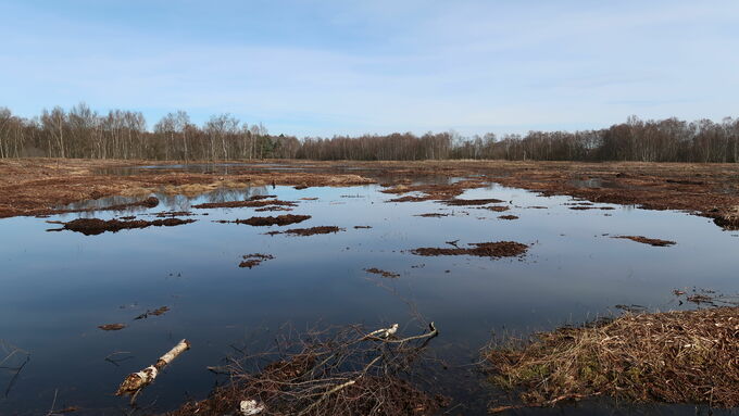 Flooded peatland area in March 2023 (view from south to north).