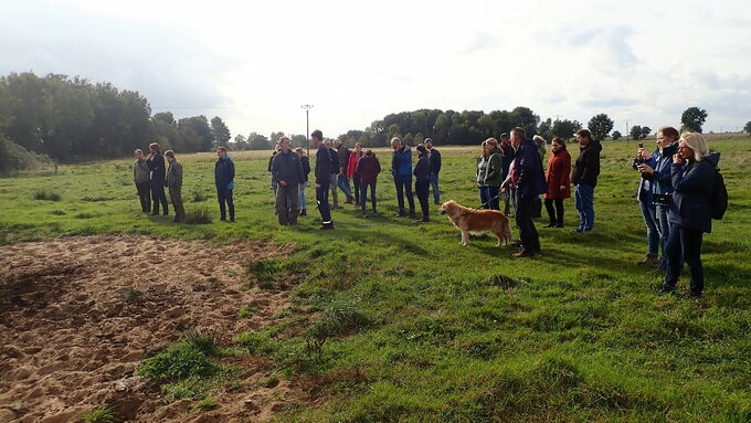 Visiting the water pools in the grazing area