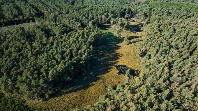 Drone shot of the area in October 2023