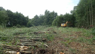 A margin of several metres was cleared around the water body.