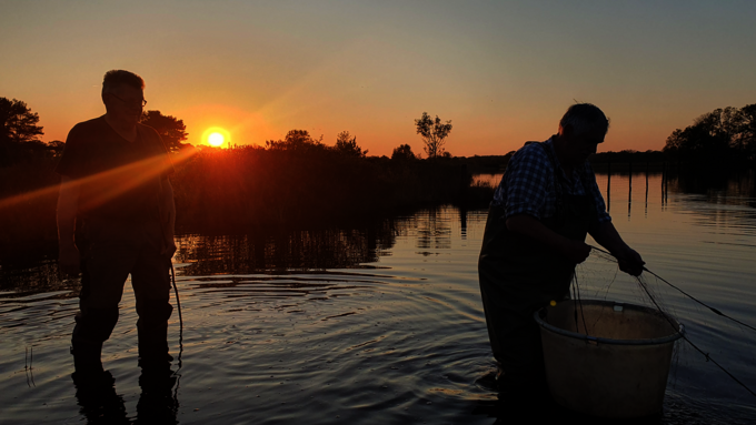 Fishing in the morning