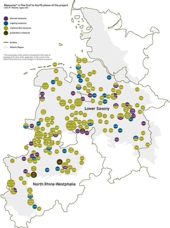 overview of all measures