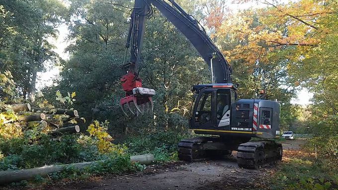 Die Maßnahmenfläche während der Arbeiten.