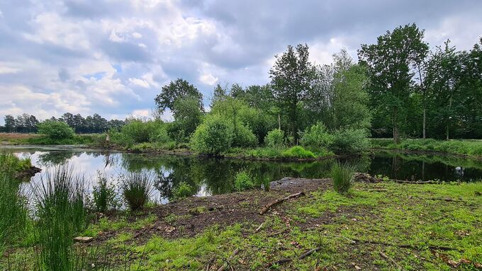 Nach den Gehölzarbeiten liegt der Heideweiher nun wieder offen.