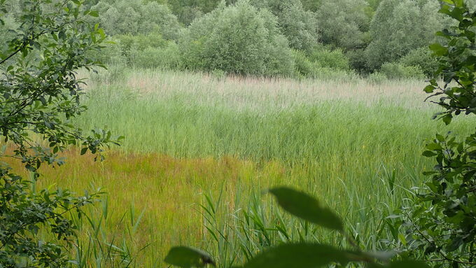 Blick in die Sandgrube vor der Maßnahme