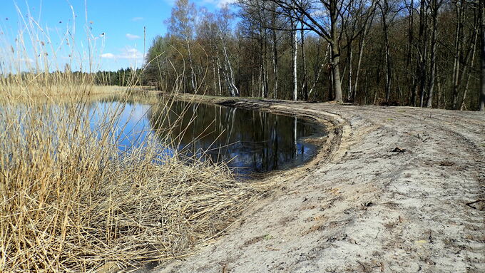 Wieder aufgebauter Damm am Zuleiter-Teich