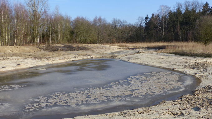 Maßnahmenfläche nach Abschluss der Arbeiten.