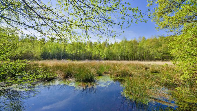 Wambachtal und Oembergmoor