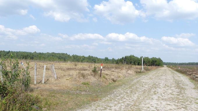 Teilfläche der Maßnahme nach der Gehölzentfernung