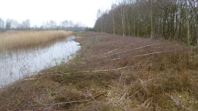 Die Uferbereiche des Kleingewässers im Vossmoor waren vor Durchführung der Maßnahme stark verbuscht bzw. zugewachsen