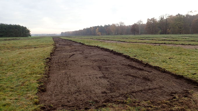 Breite abgeplaggte Streifen in den Heideflächen