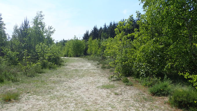 Der Sprengplatz Zweiberge vor Beginn der Arbeiten