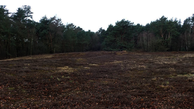 In der Grillenheide wurde gegen die Verbuschung vorgegangen.