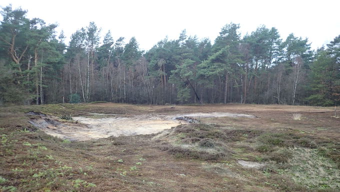 In der „Grillenheide“ wurden offene Sandbereiche mit insektenfreundlichen Steilkanten geschaffen.