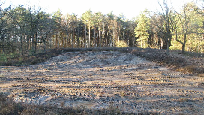 Abgezogener Oberboden nach Maßnahmenumsetzung © Norman Rohrpasser, UNB Stadt Celle