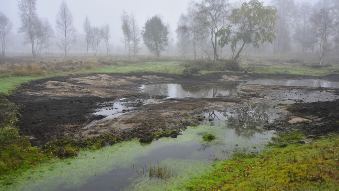 Nach Abschluss der Arbeiten hat sich in den entschlammten Bereichen der Gewässer bereits wieder Wasser gesammelt.