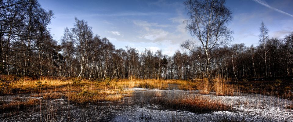 Teverener Heide, Arailt/CC BY-SA 3.0